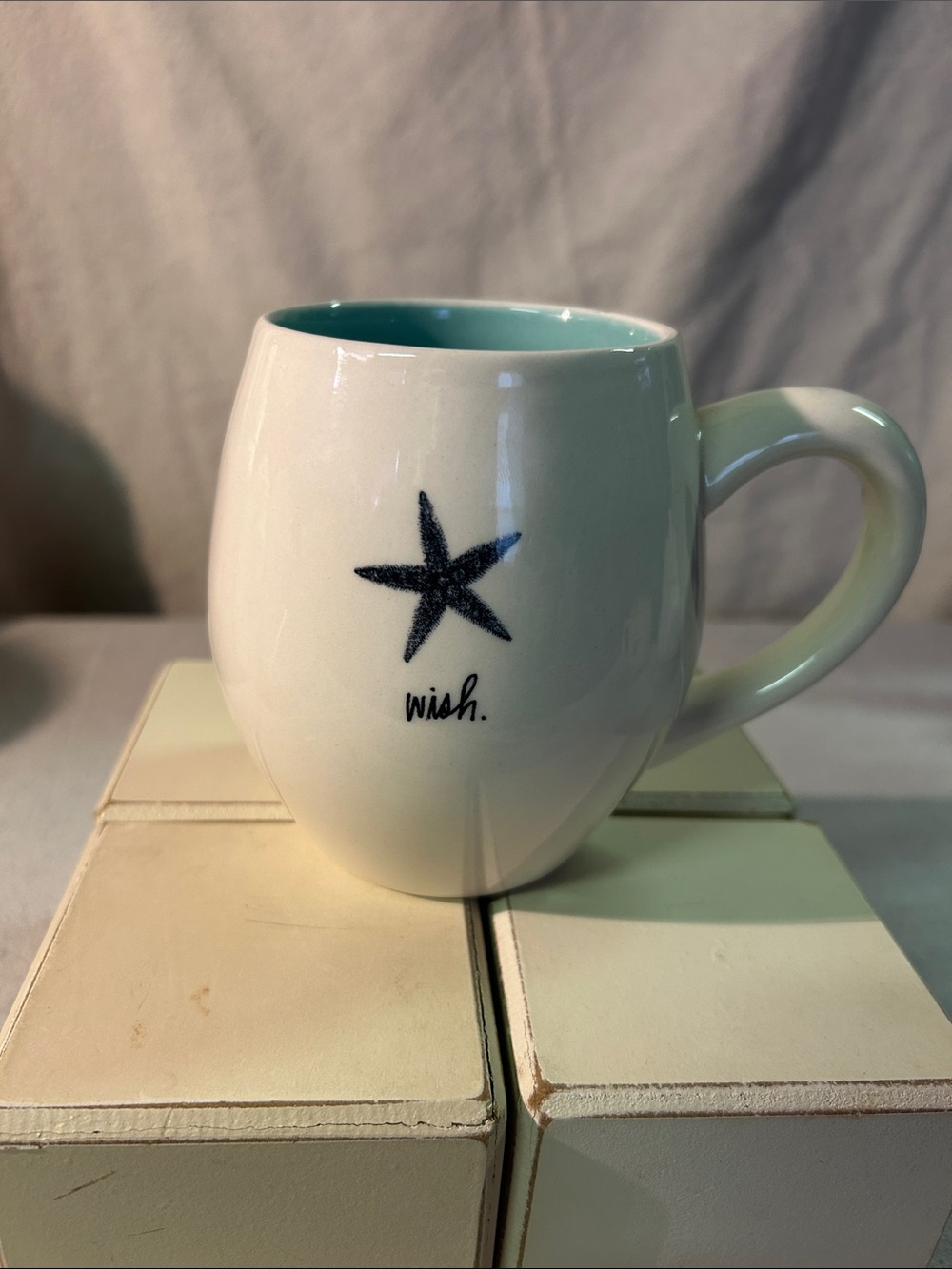 Rae Dunn White Mug with Navy Star and Turquoise Interior
